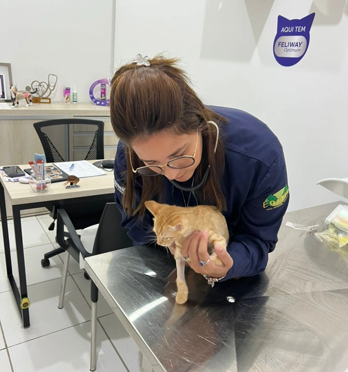 Animais 2 1